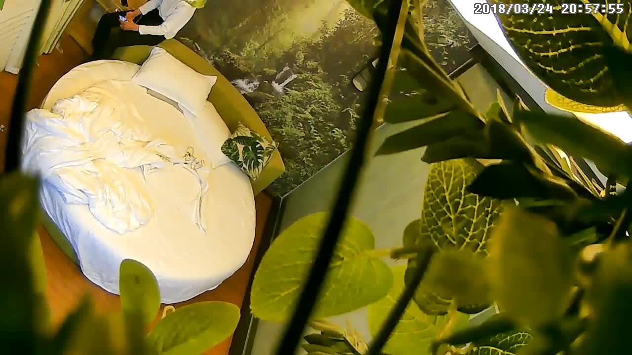 360摄像头偷拍 绿色植物及欧式主题房精选合集 妹子叫道“射里面射外面都行”【30v】 (25)