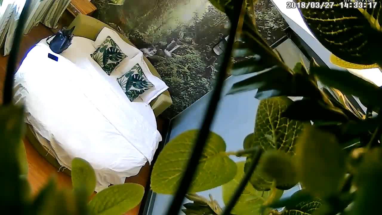 360摄像头偷拍 绿色植物及欧式主题房精选合集 妹子叫道“射里面射外面都行”【30v】 (26)