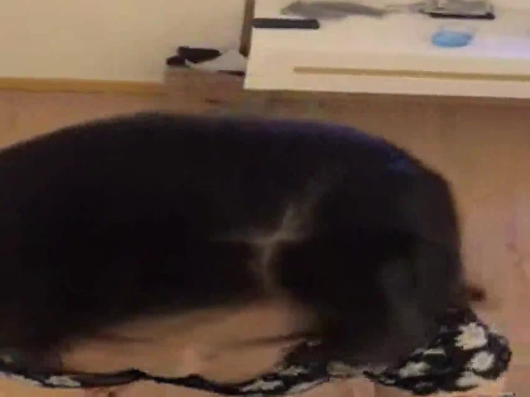 ❤️吃瓜集锦❤️ 性爱视频流出 自拍泄密 厕所做爱 出轨偷情等 众多猛料黑料视频整理【200V】 (62)