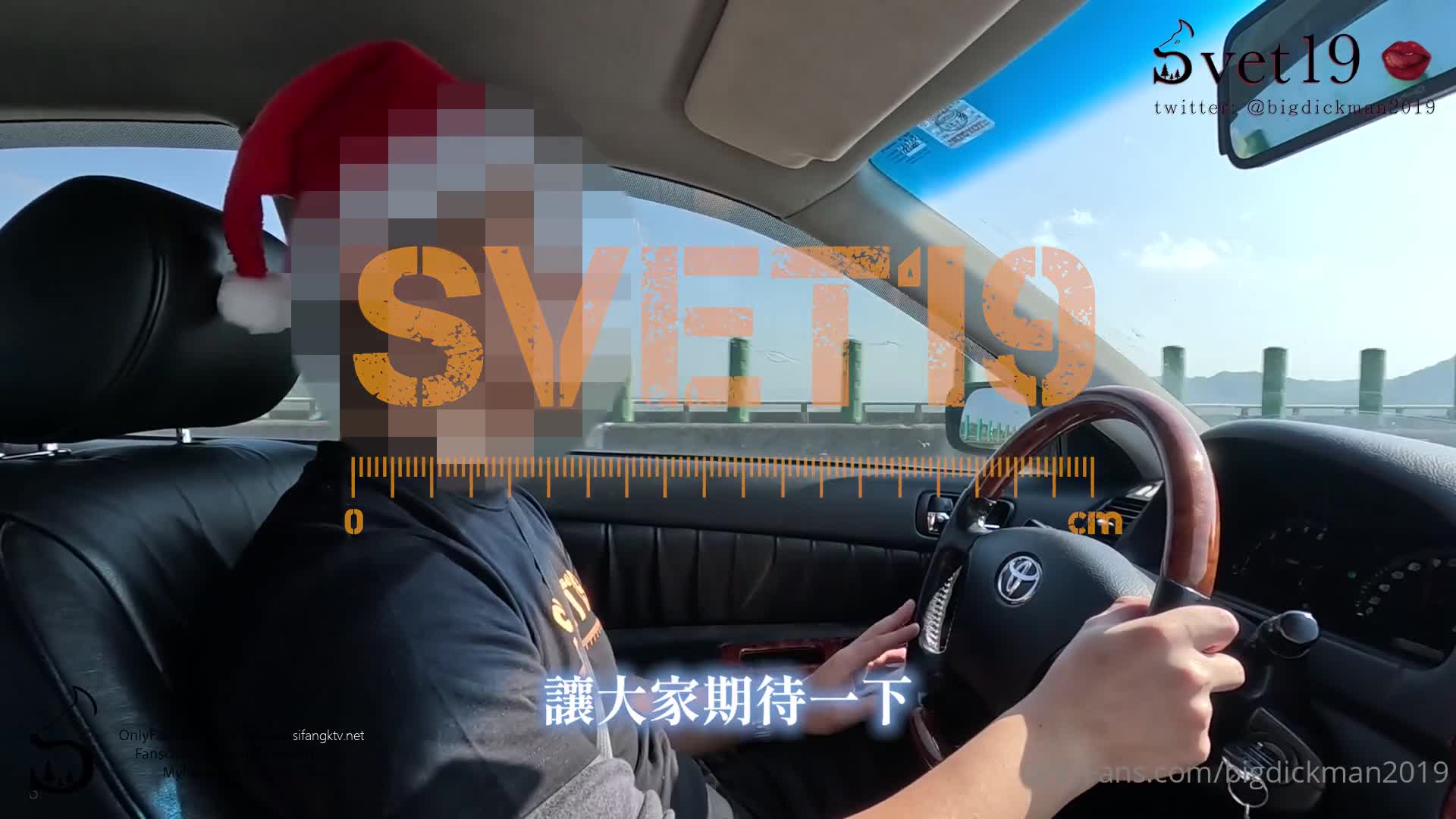 推特约炮大神【Svet19】真实约会自拍~巨乳少妇【217V】 (69)