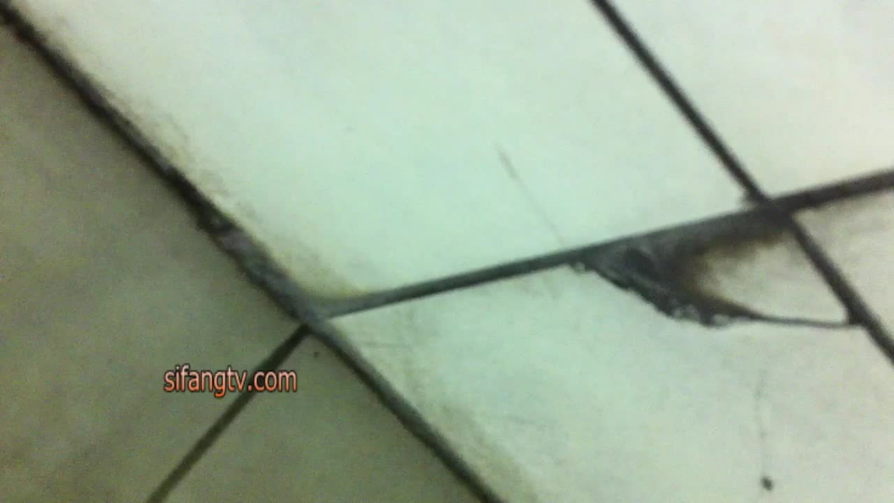 众多极品视频整理厕拍  小逼嘘嘘  各种肥美鲍鱼【140V】 (62)