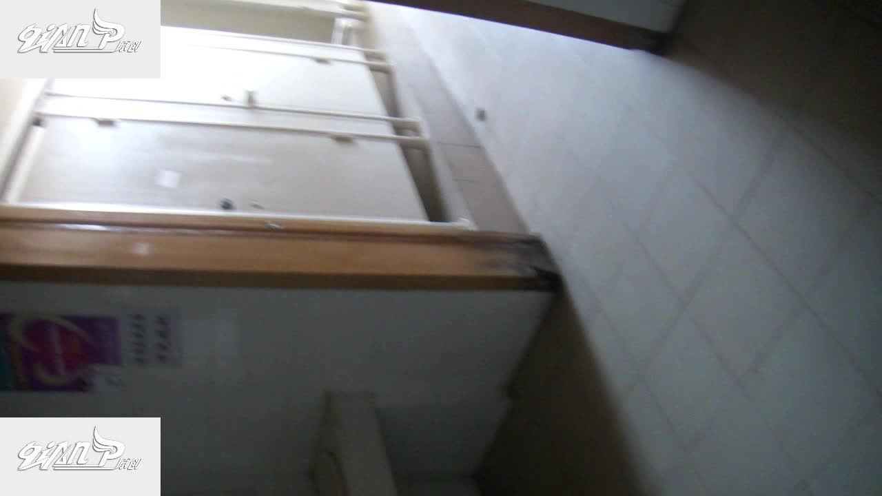 Qian-P系列 商场厕拍合集，超清特写 阴毛阴唇清晰可见 好多高颜值 白领 学生妹【600v】 (1)