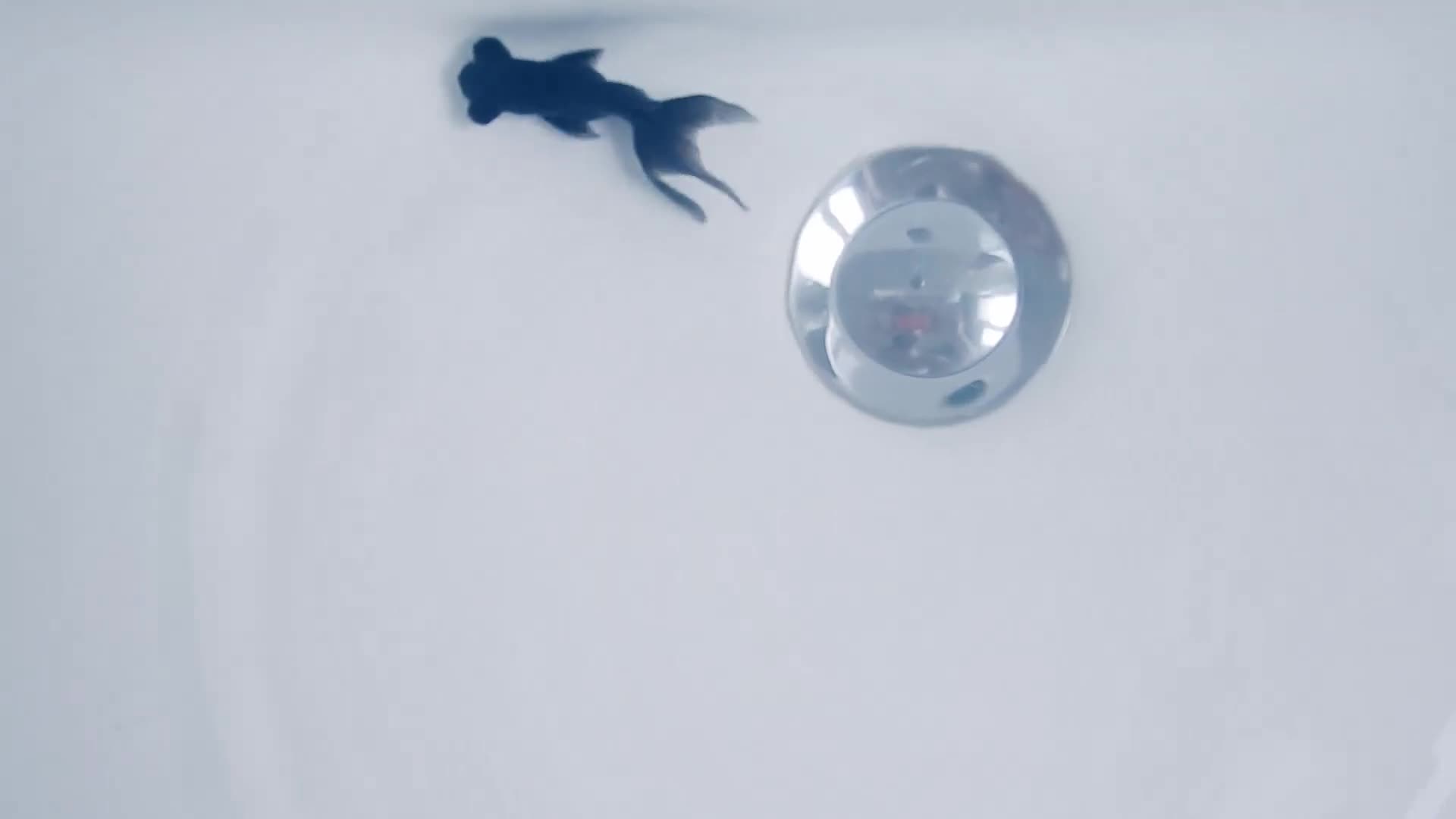  TG搜索:@kbb108 ：  TG搜索:@kbb108   TG搜索:@kbb108  (ph5f11ac5b55b08)