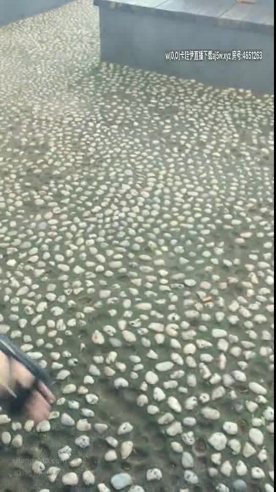 露出主播 网吧露奶 口交野战【小母狗很骚】公园商场 露出 WC自慰潮喷【80v】 (26)