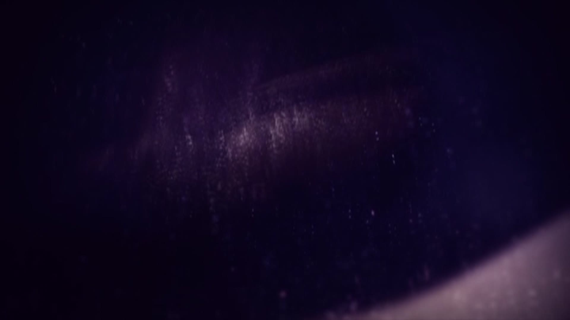 Russian.Institute.21