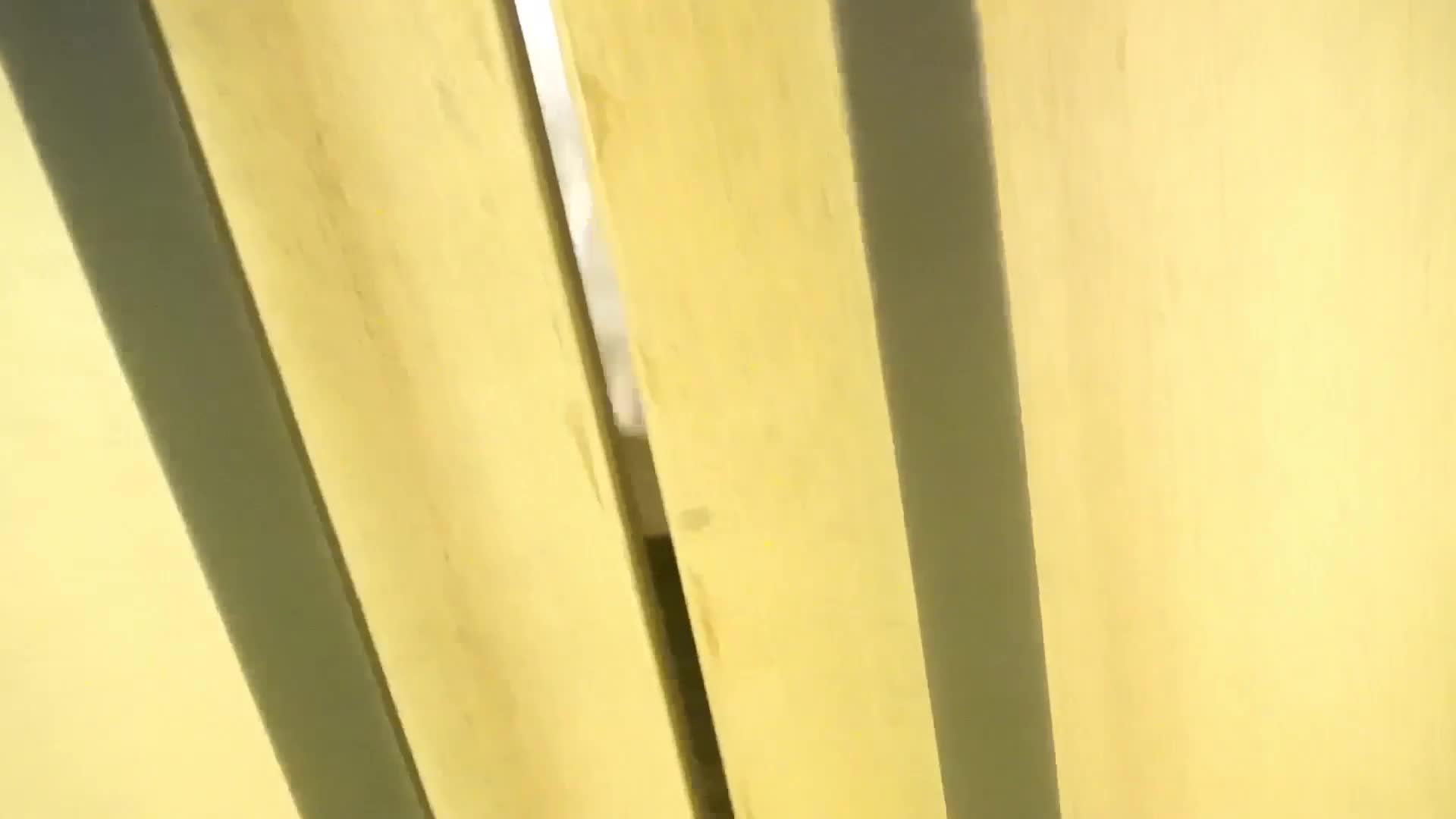 自整理近期秀人骚鸡网红模特流出视频资源  【38V】 (31)