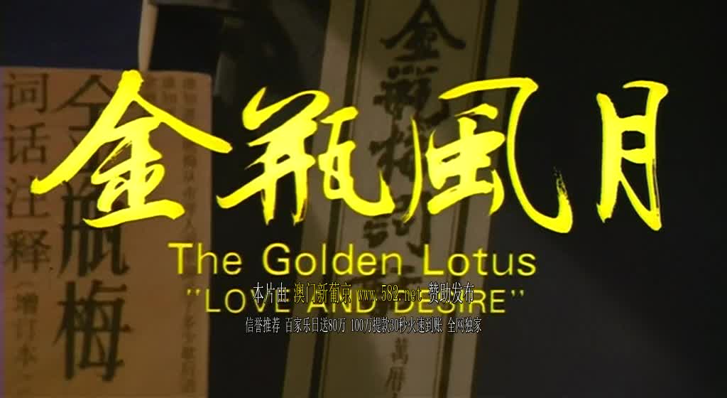 港台翻拍 古装三级情色电影【 金瓶梅】各种版本合集【19v】 (11)