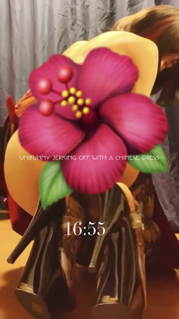 喜欢cosplay的伪娘【Unibunny】假阳具塞菊花  模拟口交 solo自慰 【15v】 (9)