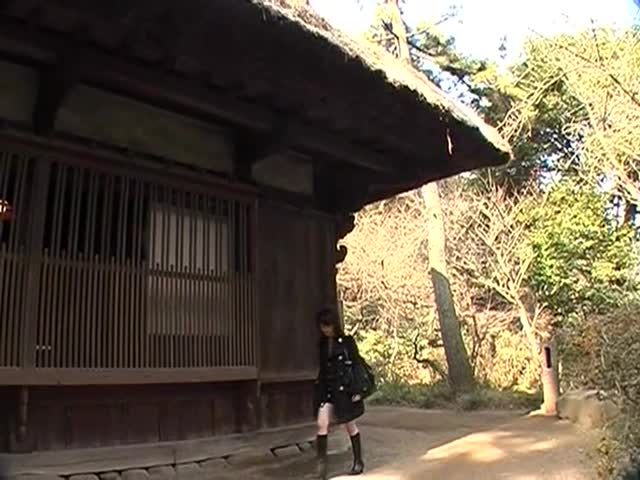 TKT-16(h_166tkt16)[無敵会]東京交尾天国act.16茅ヶ崎ありす百合川さら