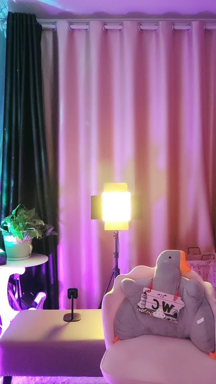 自录无水~多才多艺【暴躁小萌】骚舞合集~勾人摄魄【18V】 (17)