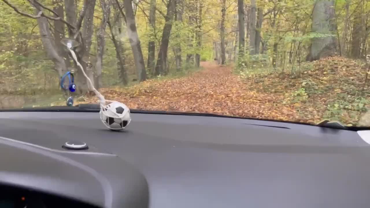 【自整理】开车带着害羞的丰满人妻到小树林里打野战——P站 Dana Kiss最新视频合集【310V】2 (11)