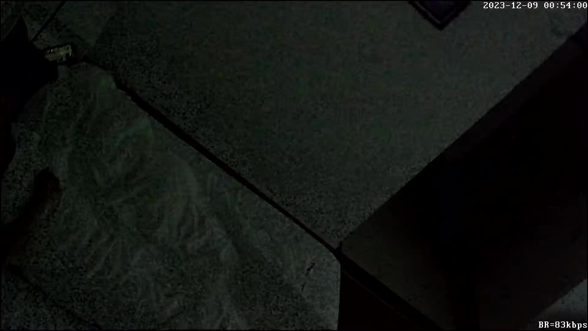 最新酒店偷拍！少妇偷情啪啪 情趣衣服 SM皮鞭增加情趣 【100v】 (6)