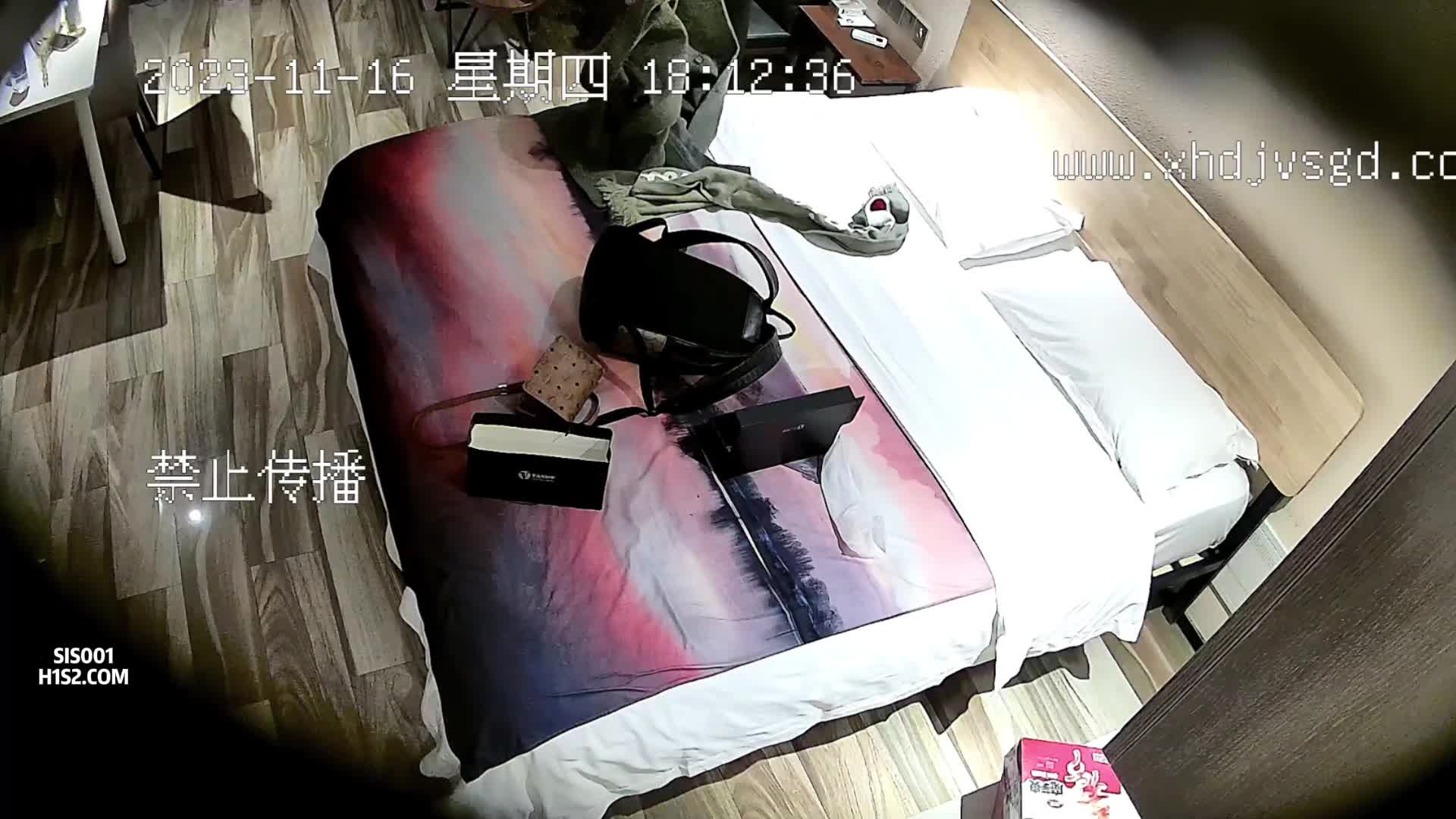 最新酒店偷拍 尤物系列巨乳模特 颜值身材美女被打桩啪啪等作品合集【11v】 (8)