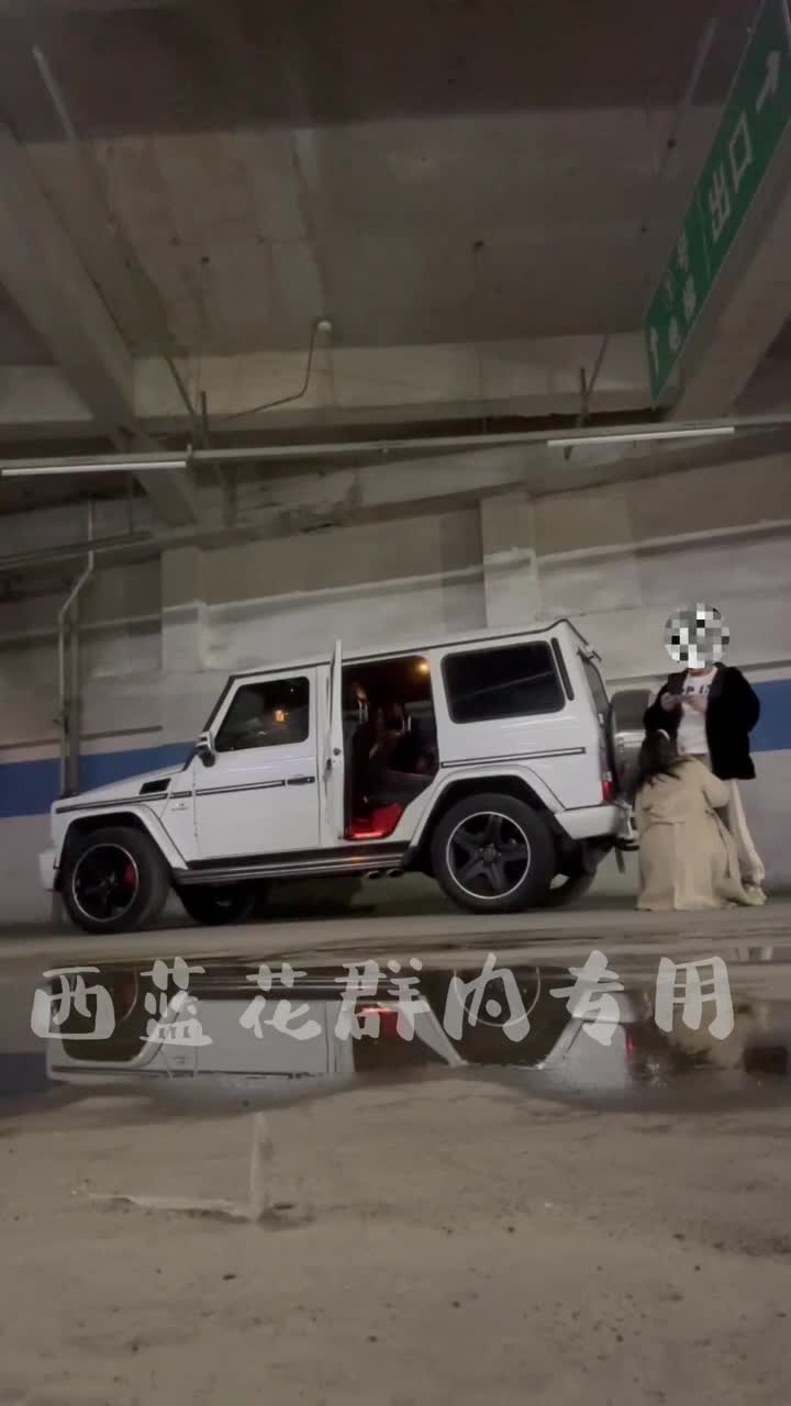 红烧西蓝花 (72)