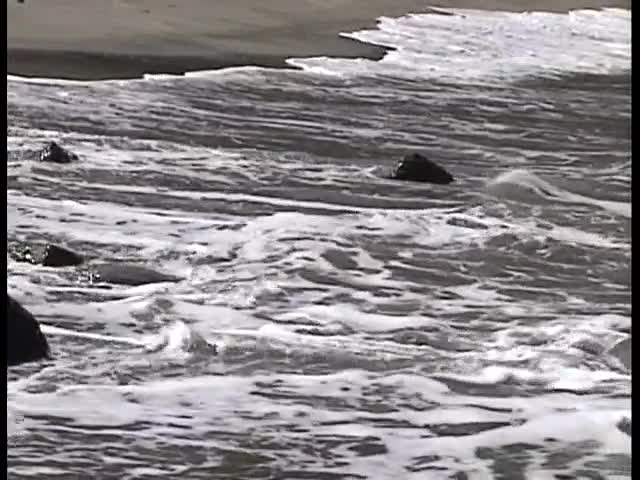 ATF-034.(41atf00034).[h.m.p]沢口ひろみはじめてなのに飲ませないで.沢口ひろみ