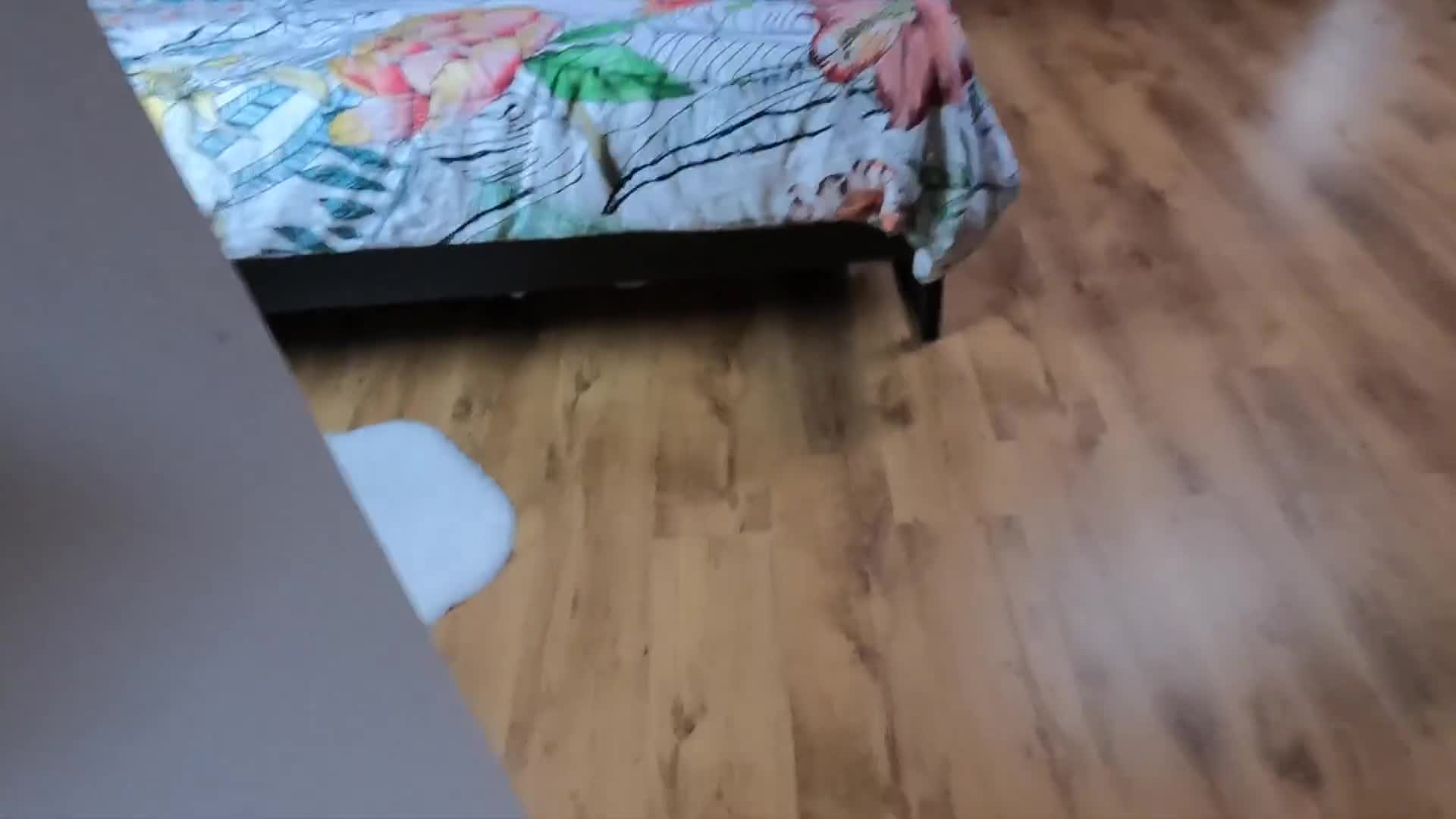 on my step sister but I get caught jerking off, I lick my ass balls and cum on her face (ph6266d42d440c8)