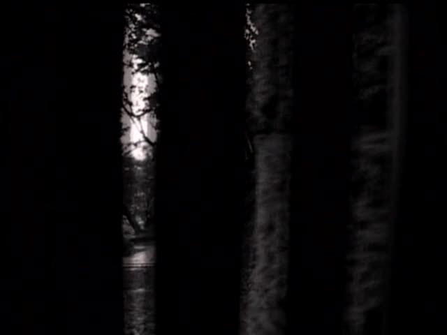 DISE-054(70dise00054)[ディスカバリー]百舌鳥ノ贄早贄