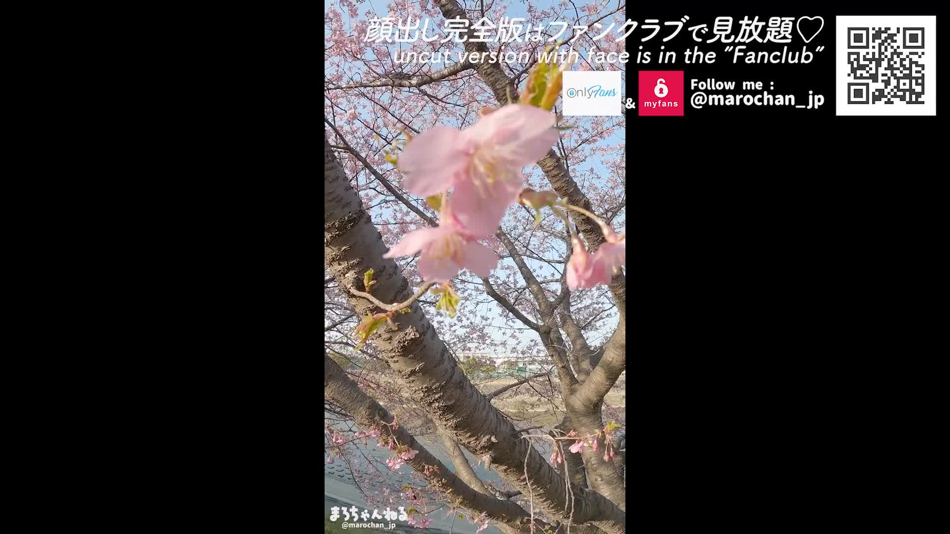 与业余女大学生的赏花约会♡站着口交站着中出日本人的乳房巨乳出色的风格美女奇闻趣事个人摄影舔阴调情泄露未经审查的智能手机猫Maro Channel (642e75250ada2)