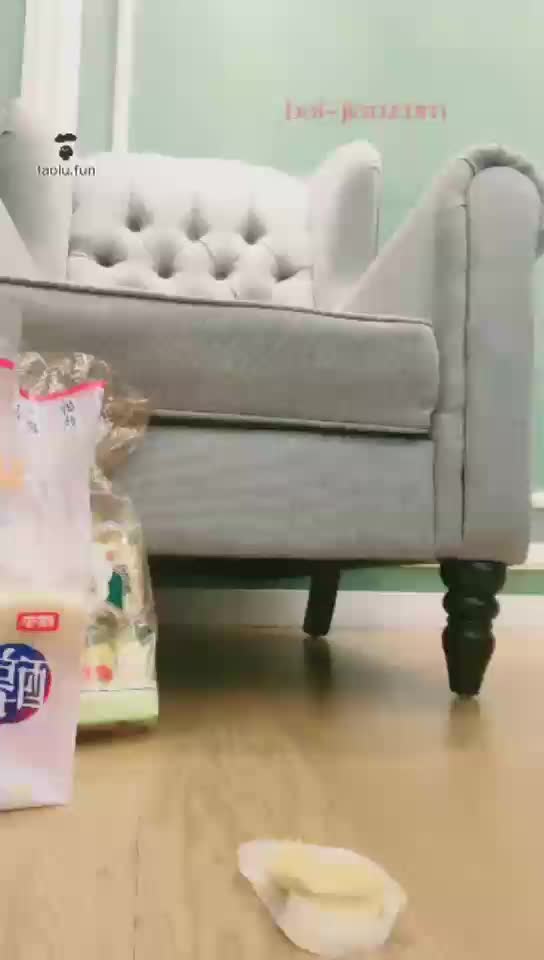 第一视角嫩脚踩面包想吃吗 -维妮