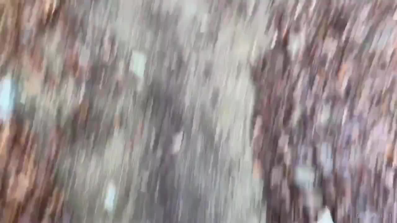 0115 - Part1 ｜ Risky public anal - meet stranger runner at the woods and end up destroying her ass (ph5ef4eed7d1b15)