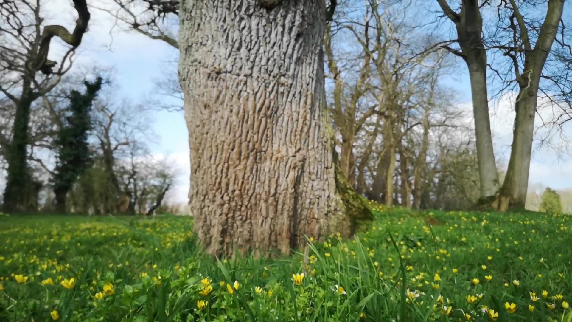 0035 - Confinement avec SOLVEIG： jour 3 - orgasme dans les champs (ph5e73ac59ec331)