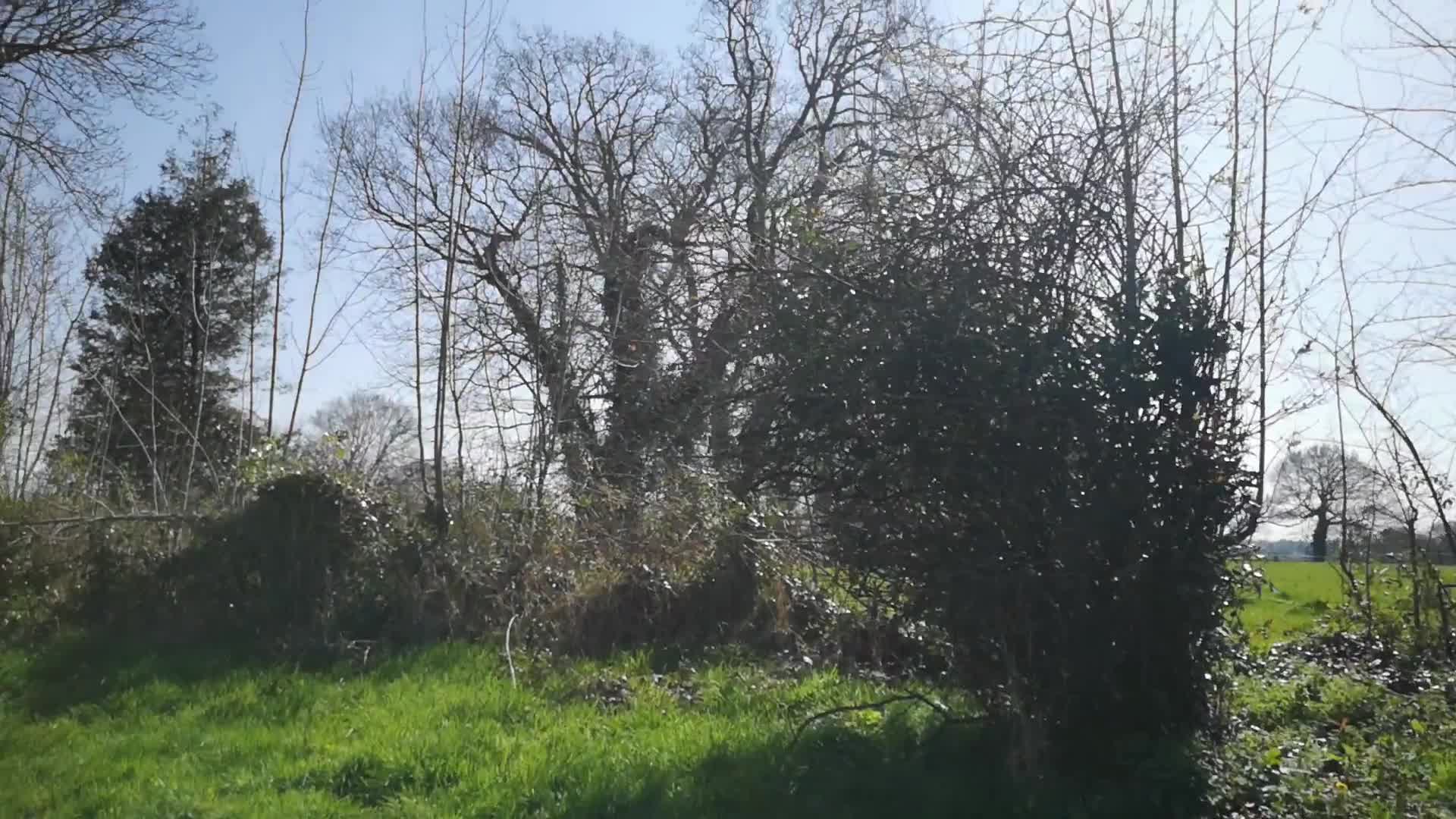 0034 - Confinement avec SOLVEIG： jour 7 - je prend mon pied à la campagne (ph5e78dd9290e63)