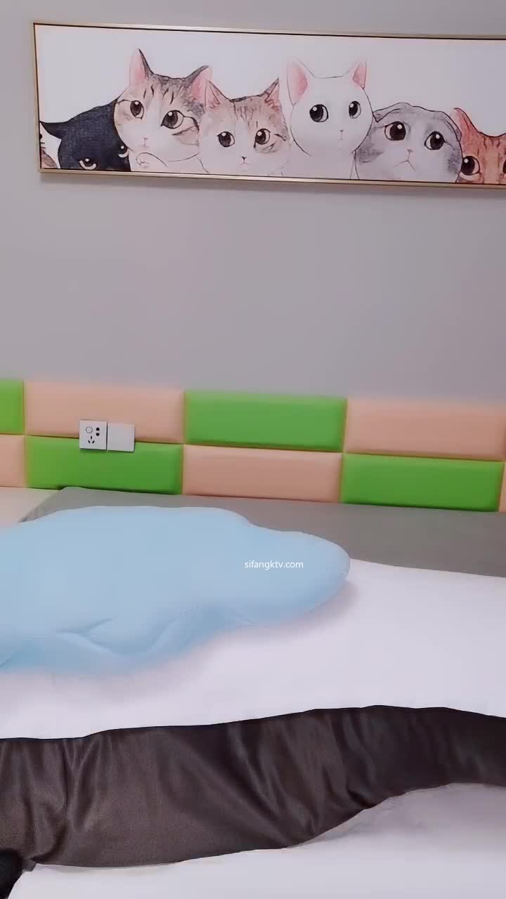 FormatFactoryPart5(6)