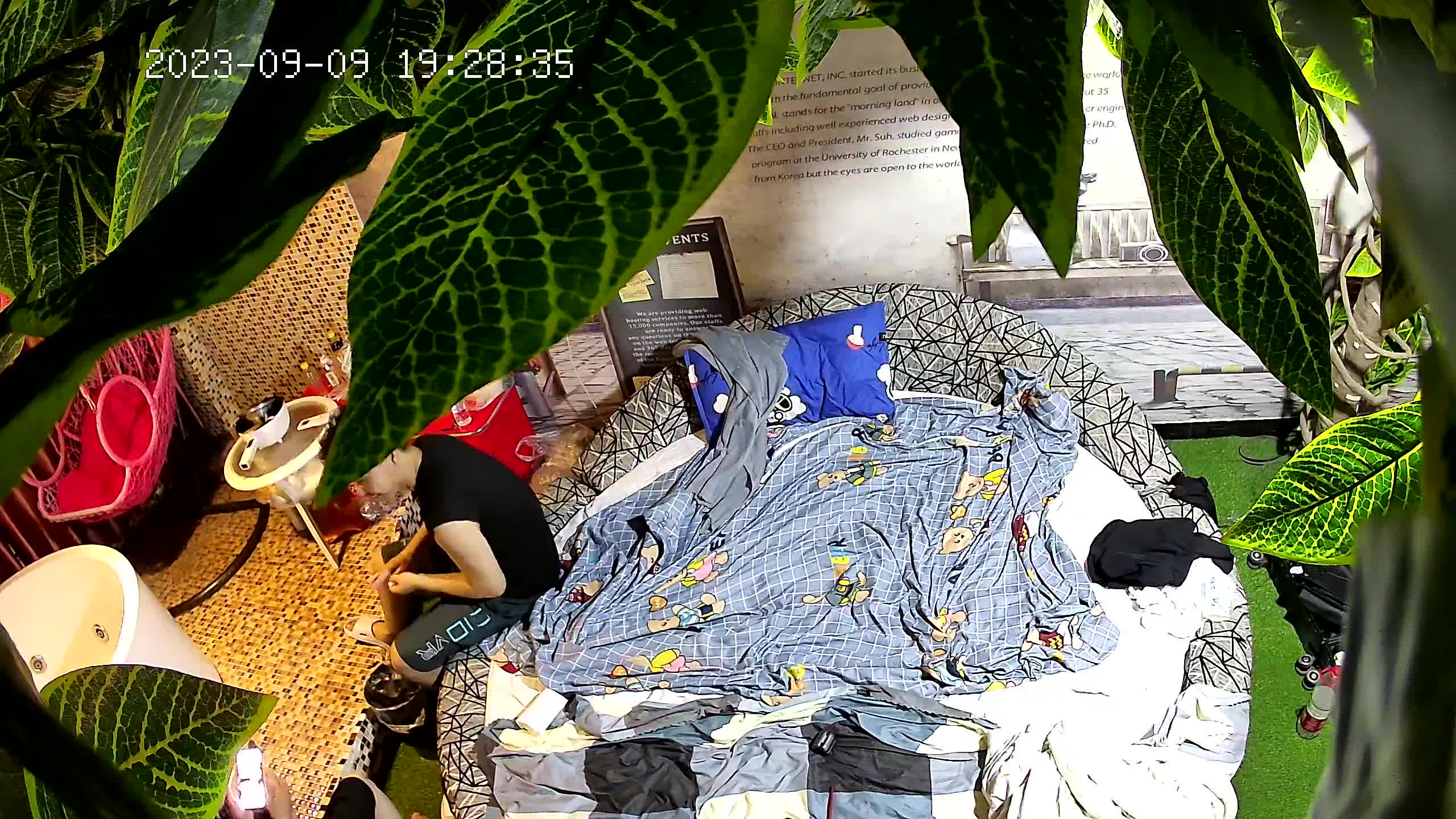 TL-IPC14CH_50-72_20230914_12.39.42.909