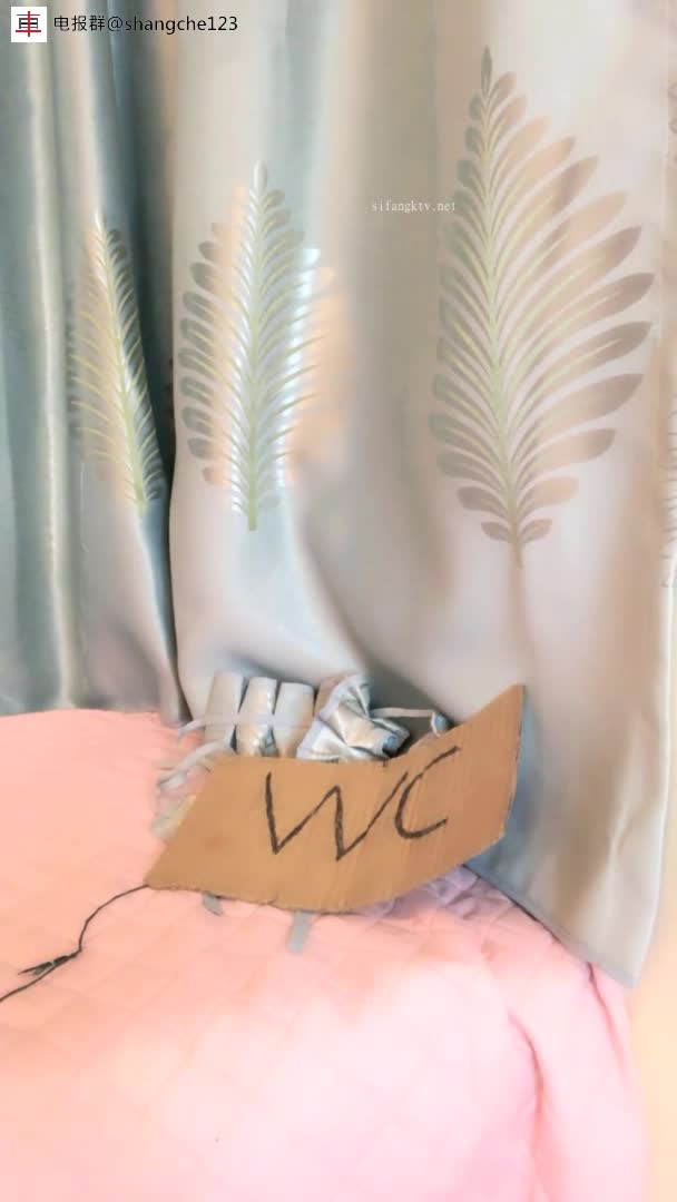 FormatFactoryPart2(5)