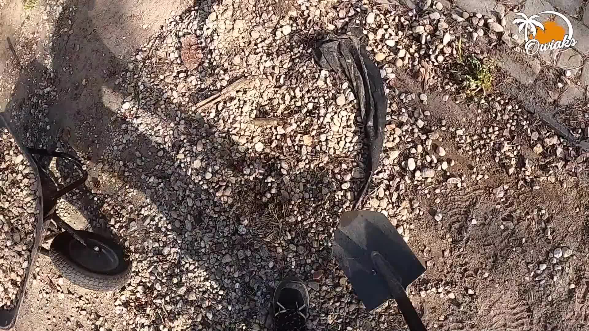 最幸运的园丁被别人的妻子口交了 (64e5bffe6046f)