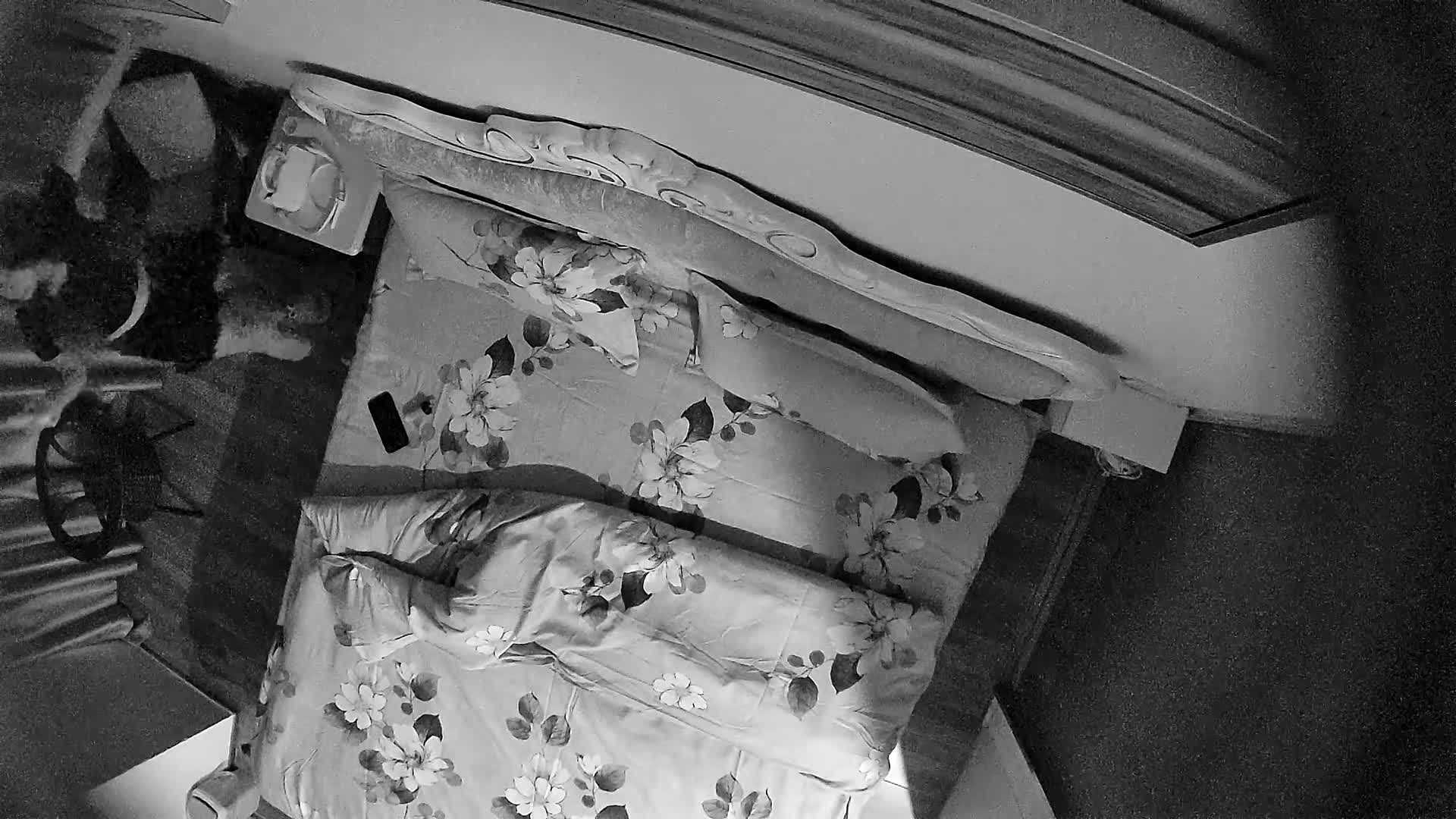 2023-9-6【酒店偷拍】纹身小女友，刚入住先来一发，正入抽插一顿操，休息一会又想要，扶腰后入爆操