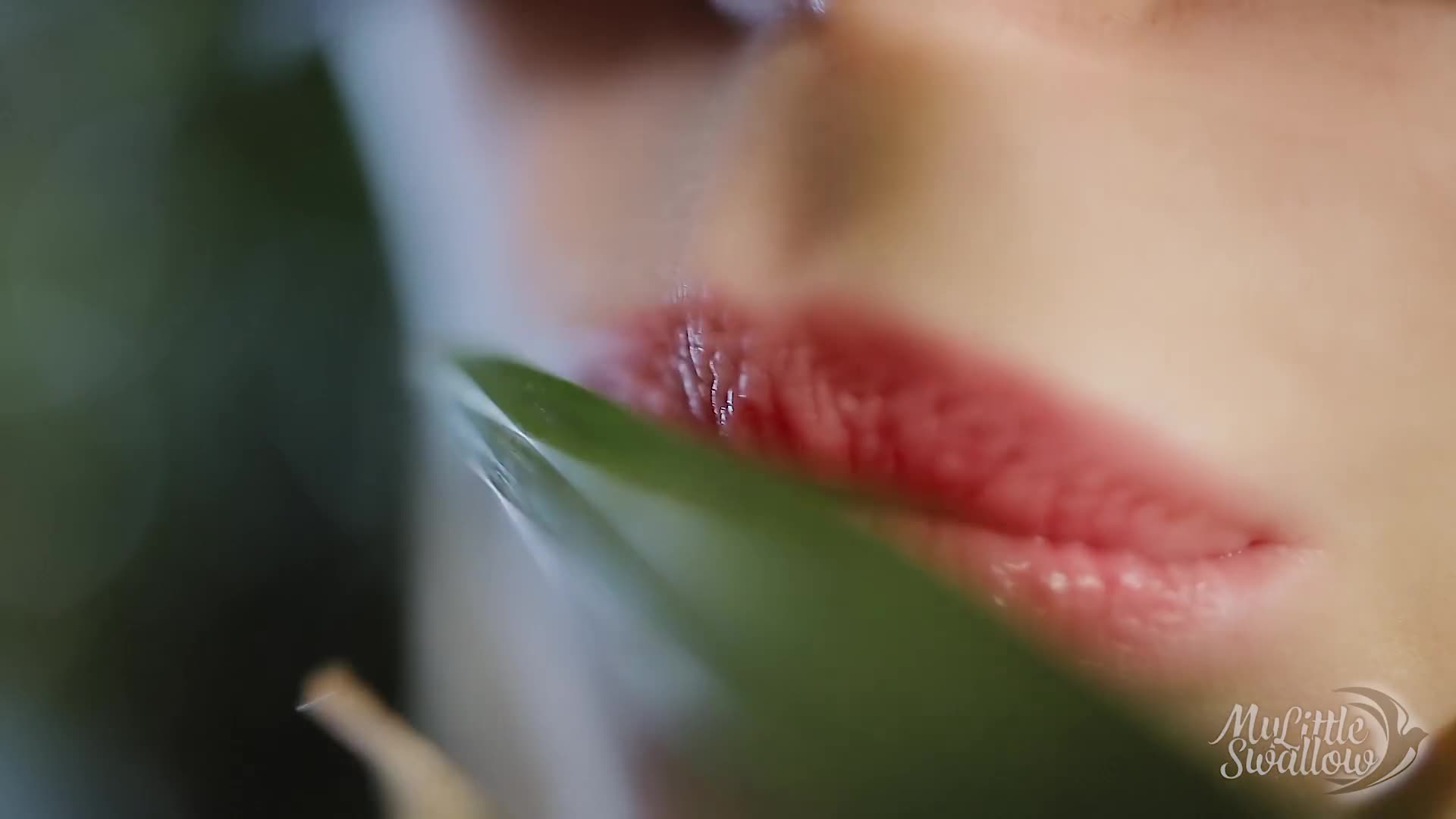 ORAL CREAMPIE IN NIGHT JUNGLE. Little thirsty cat found her sweet cum-meal) (ph5d98d36a92399)