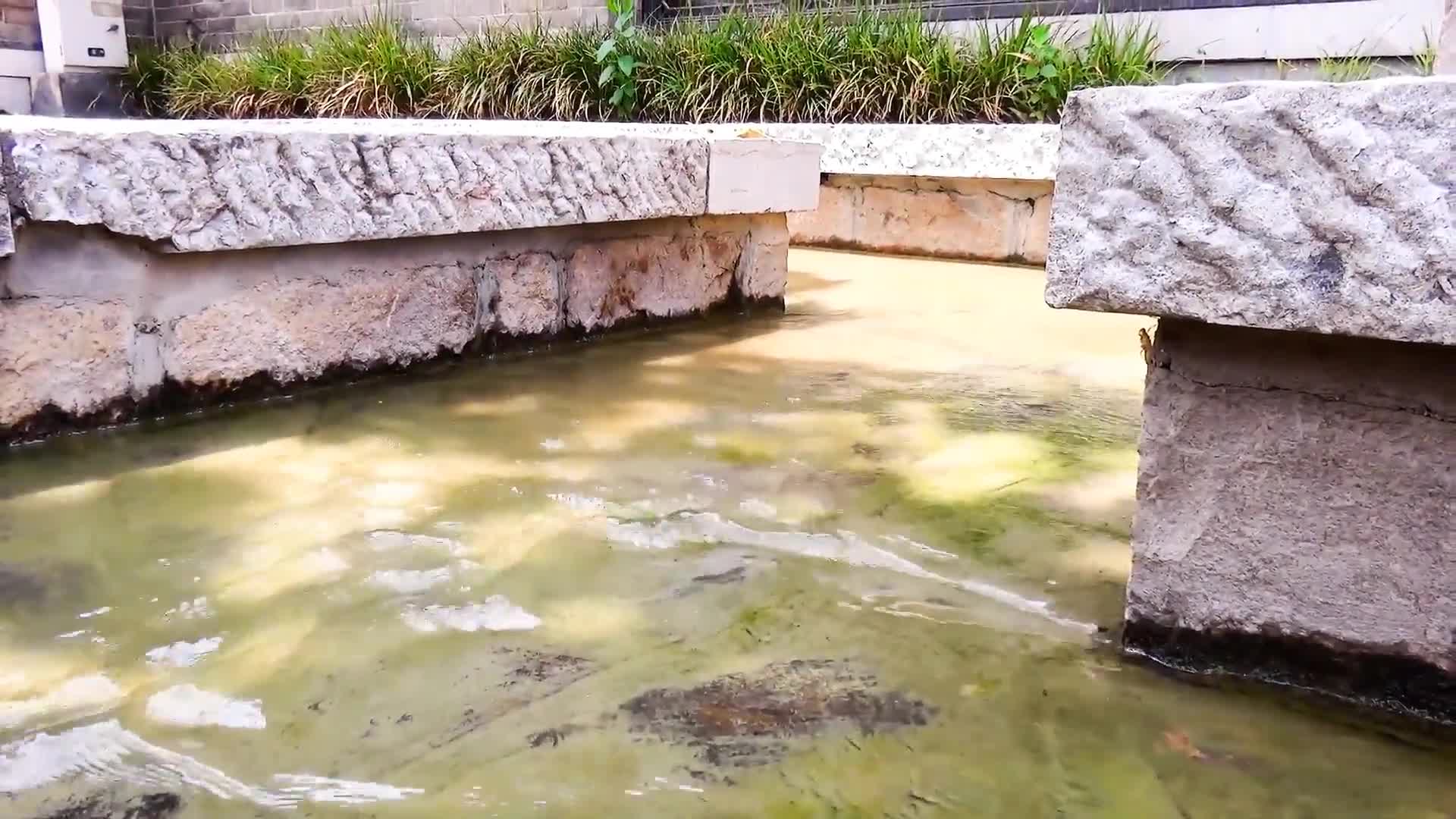 澶╅€稿奖鐢_瀹跺姭12