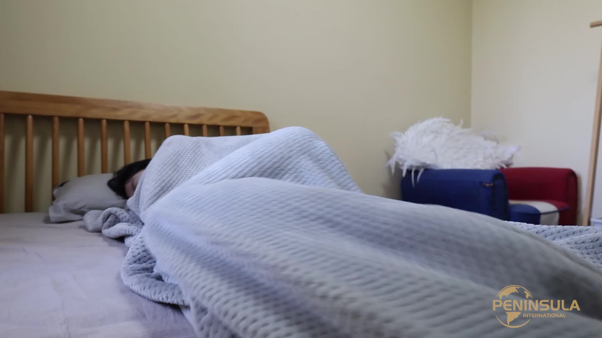 半岛束艺240415-佟镜_波雅-梦话成真