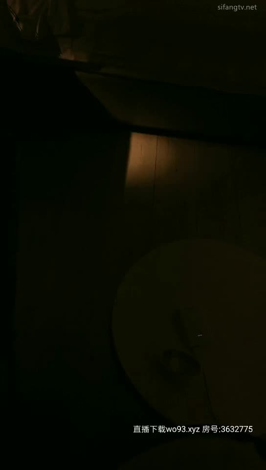 雀儿满天飞20200216 (1)