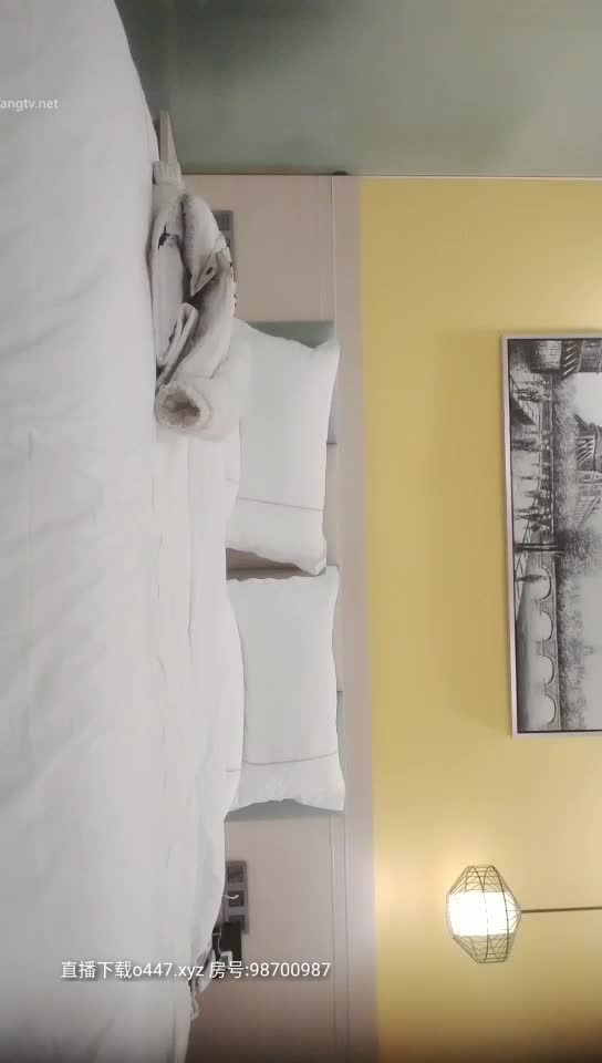 9总出击全国探花224（1）