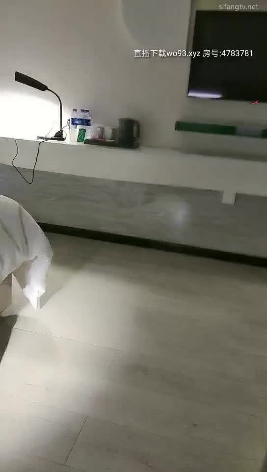 雀儿满天飞20200217 (1)