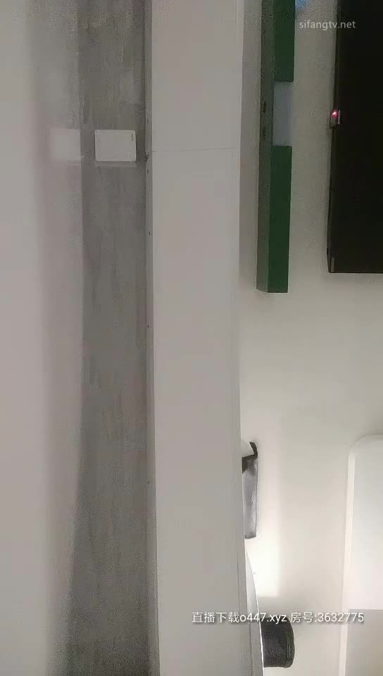 全国探花20200226 (1)