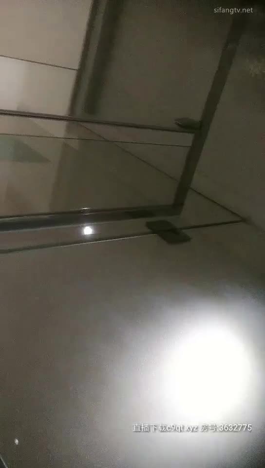 雀儿满天飞20200209 (4)