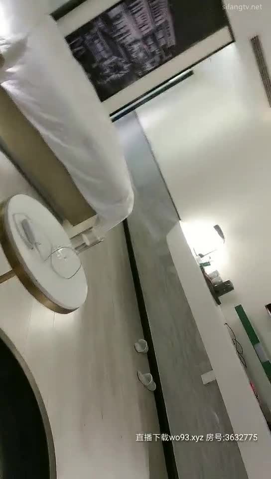 雀儿满天飞20200216 (2)