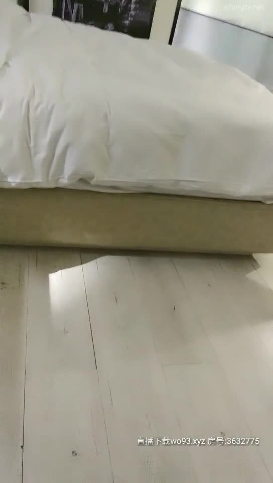 雀儿满天飞20200214