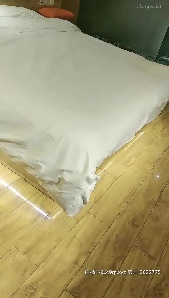 雀儿满天飞20200209 (1)