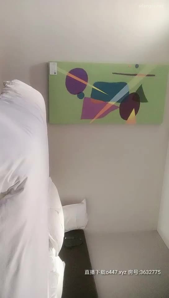 全国探花20200223 (2)