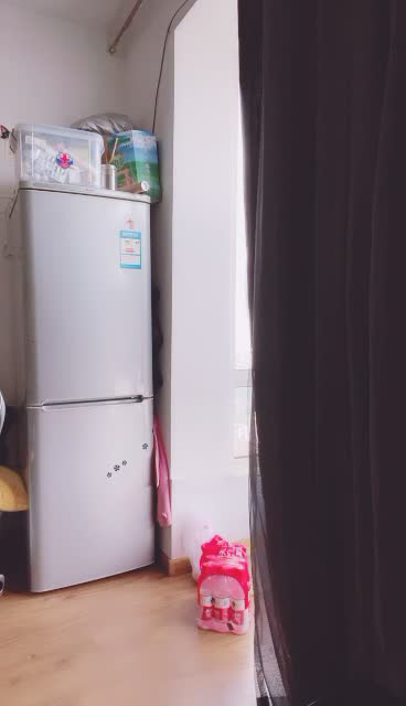 高颜值女神 【妞妞妞妞女】【83V】  (59)