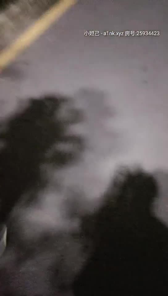 2048.cc@[原版]_018_狂野的小野猫_野战啪啪_20210226