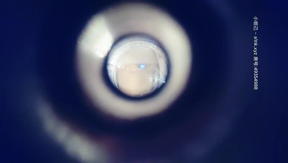 2048.cc@[原版]_052_小天娱乐赵总探花_啪啪第一场_20210418