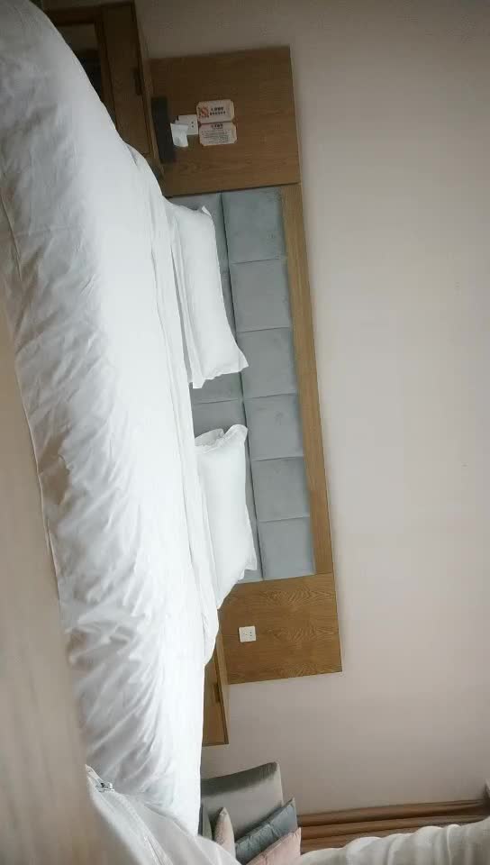 探花【无情的屌】作品合集【80v】 (52)