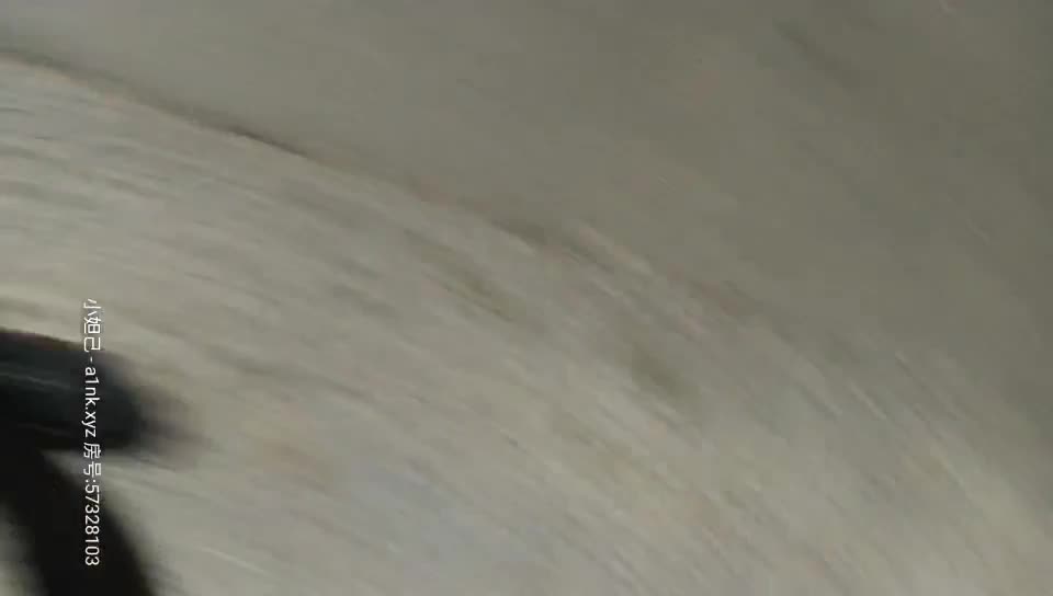 2048.cc@[原版]_041_突击队长_啪啪b_20210308