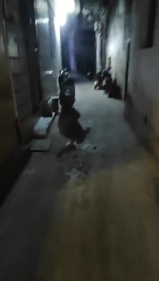 2048.cc@[原y版b]_043_小x黑h探t花h_20211127