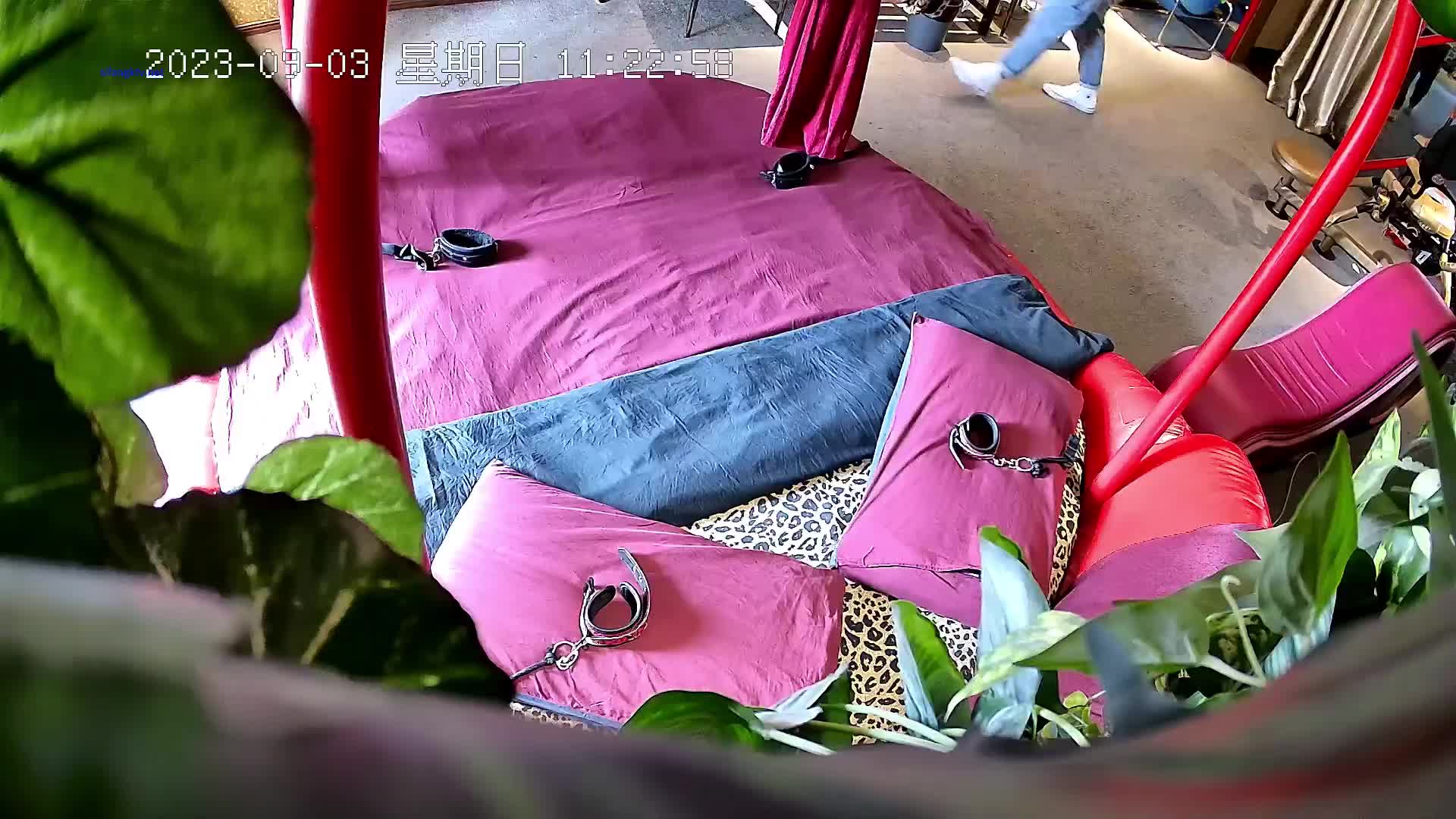 1(1)_(1)_d4o6g3ggclpp6xire